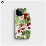1-74_Mary-Vaux-Walcott_phone