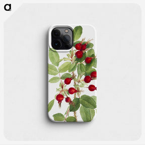 1-74_Mary-Vaux-Walcott_phone