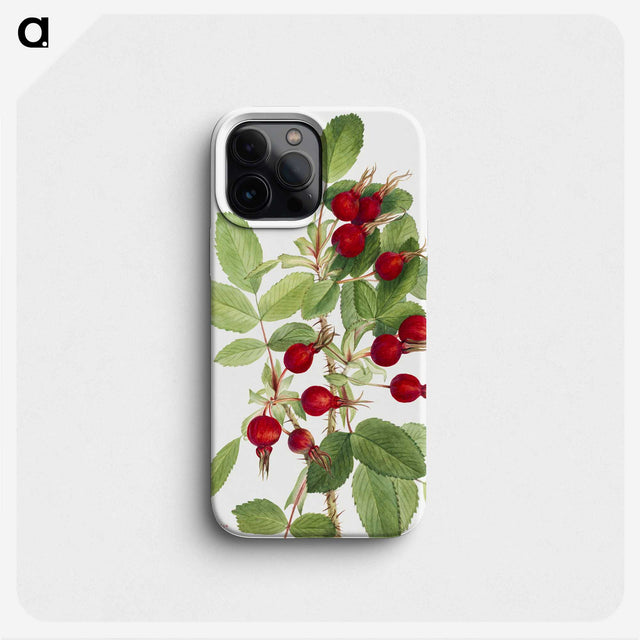 1-74_Mary-Vaux-Walcott_phone