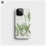 1-74_Maurice-Pillard-Verneuil_phone