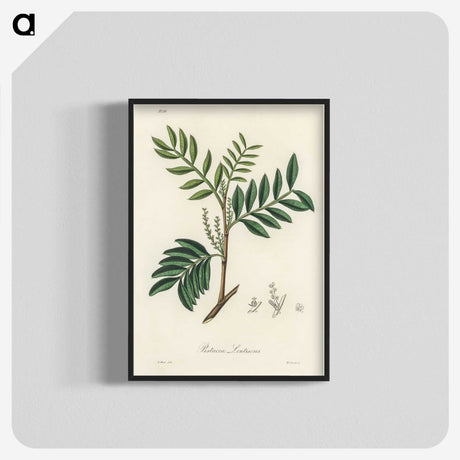 1-74_Medical-Botany_blk-crop