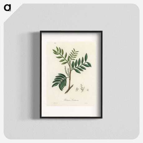1-74_Medical-Botany_blk