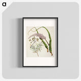 1-74_Native-Flowering-Plants-of-New-Zealand_blk