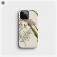 1-74_Native-Flowering-Plants-of-New-Zealand_phone