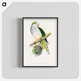 1-74_Parrots-in-Captivity_blk-crop