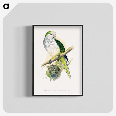 1-74_Parrots-in-Captivity_blk-crop