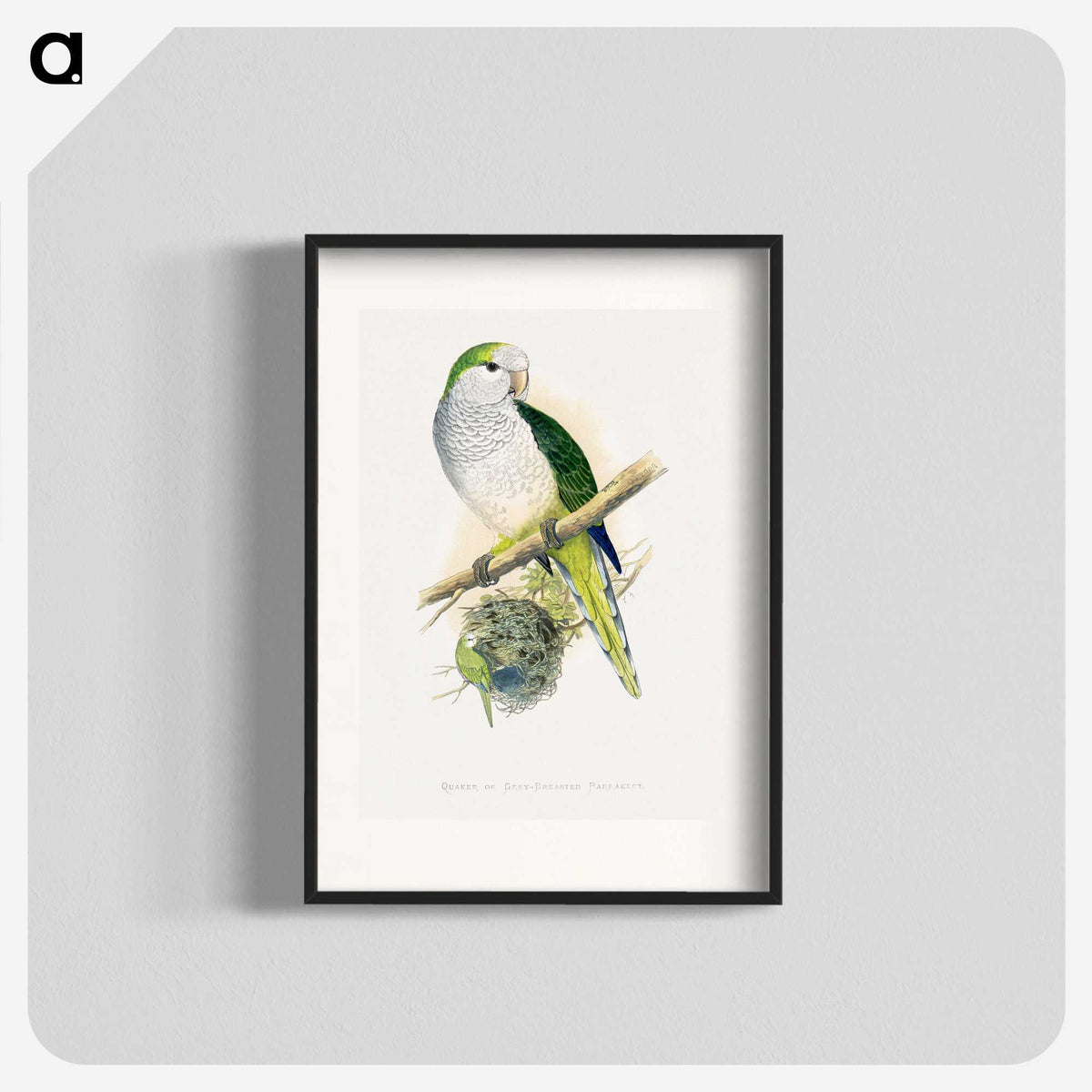 1-74_Parrots-in-Captivity_blk