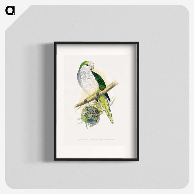 1-74_Parrots-in-Captivity_blk