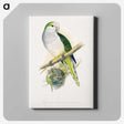 1-74_Parrots-in-Captivity_canvas