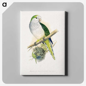 1-74_Parrots-in-Captivity_canvas