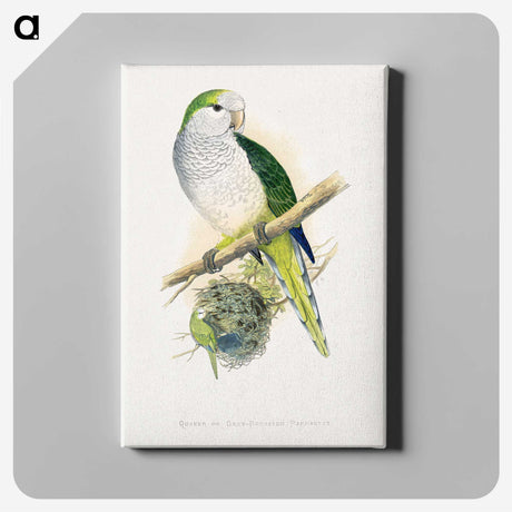 1-74_Parrots-in-Captivity_canvas