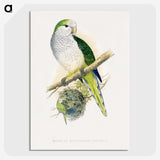 1-74_Parrots-in-Captivity_picture-crop