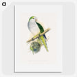 1-74_Parrots-in-Captivity_picture