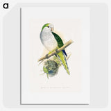1-74_Parrots-in-Captivity_picture