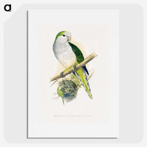 1-74_Parrots-in-Captivity_picture