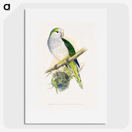 1-74_Parrots-in-Captivity_picture