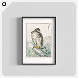 アートポスター-Japanese Golden Eagle and Dark Blue Sea
 - 鳥類図鑑 Poster.
