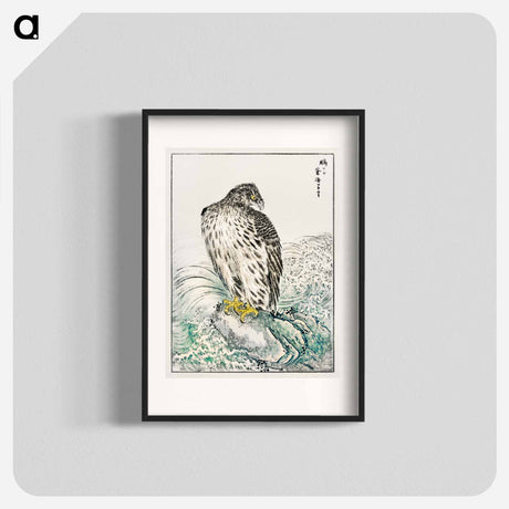 アートポスター-Japanese Golden Eagle and Dark Blue Sea
 - 鳥類図鑑 Poster.