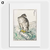 アートポスター-Japanese Golden Eagle and Dark Blue Sea
 - 鳥類図鑑 Poster.