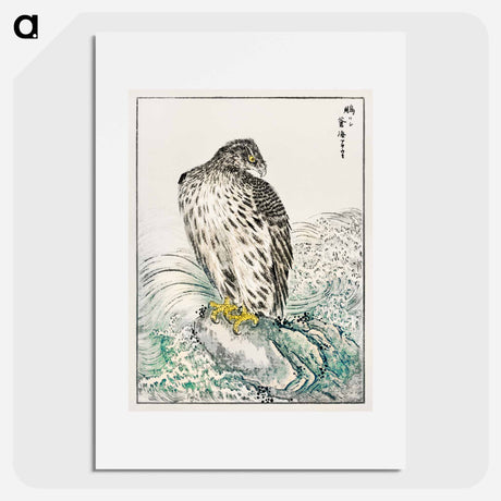 アートポスター-Japanese Golden Eagle and Dark Blue Sea
 - 鳥類図鑑 Poster.