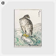 アートポストカード-Japanese Golden Eagle and Dark Blue Sea
 - 鳥類図鑑 Postcard.
