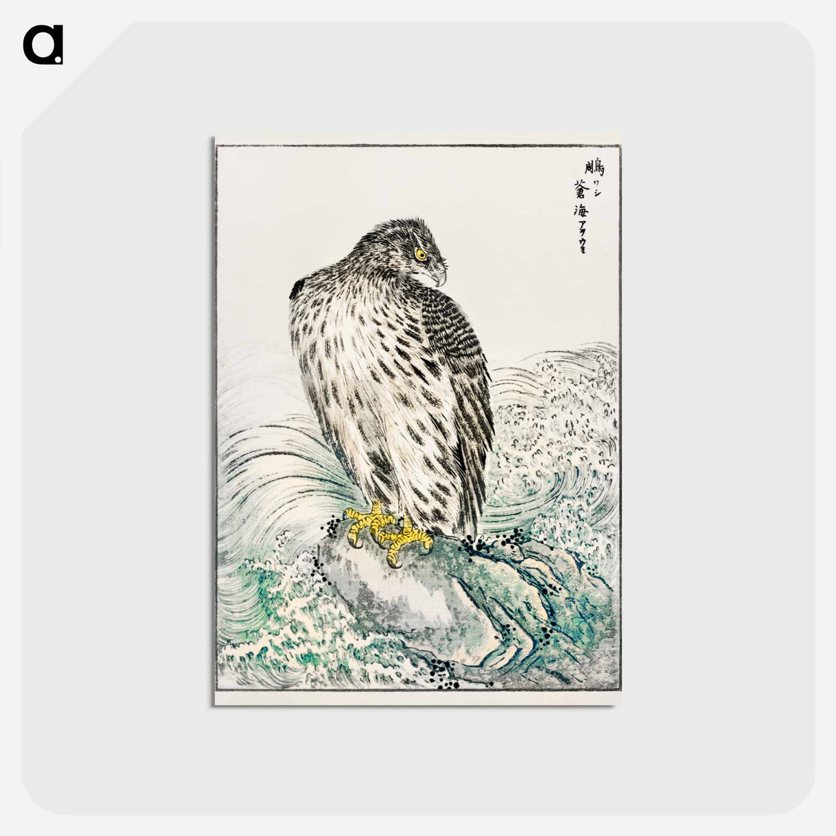 アートポストカード-Japanese Golden Eagle and Dark Blue Sea
 - 鳥類図鑑 Postcard.
