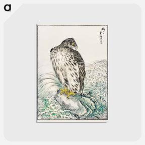 アートポストカード-Japanese Golden Eagle and Dark Blue Sea
 - 鳥類図鑑 Postcard.