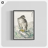 1-74_Pictorial-Monograph-of-Birds_blk-crop