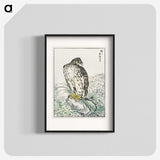 1-74_Pictorial-Monograph-of-Birds_blk