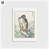 1-74_Pictorial-Monograph-of-Birds_hagaki