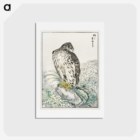 1-74_Pictorial-Monograph-of-Birds_hagaki