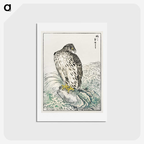 イヌワシと濃青色の海 - 鳥類図鑑 Postcard.