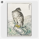 1-74_Pictorial-Monograph-of-Birds_picture-crop