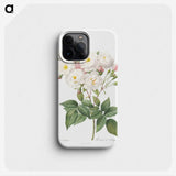 1-74_Pierre-Joseph-Redoute_phone