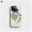 1-74_Robert-Jacob-Gordon_phone