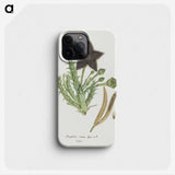 1-74_Robert-Jacob-Gordon_phone