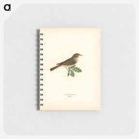アートメモ帳-Thrush Nightingale
 - スヴェンスカ フォグラル Memo.