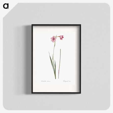 1-74_The-Lilies_blk