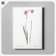 1-74_The-Lilies_canvas