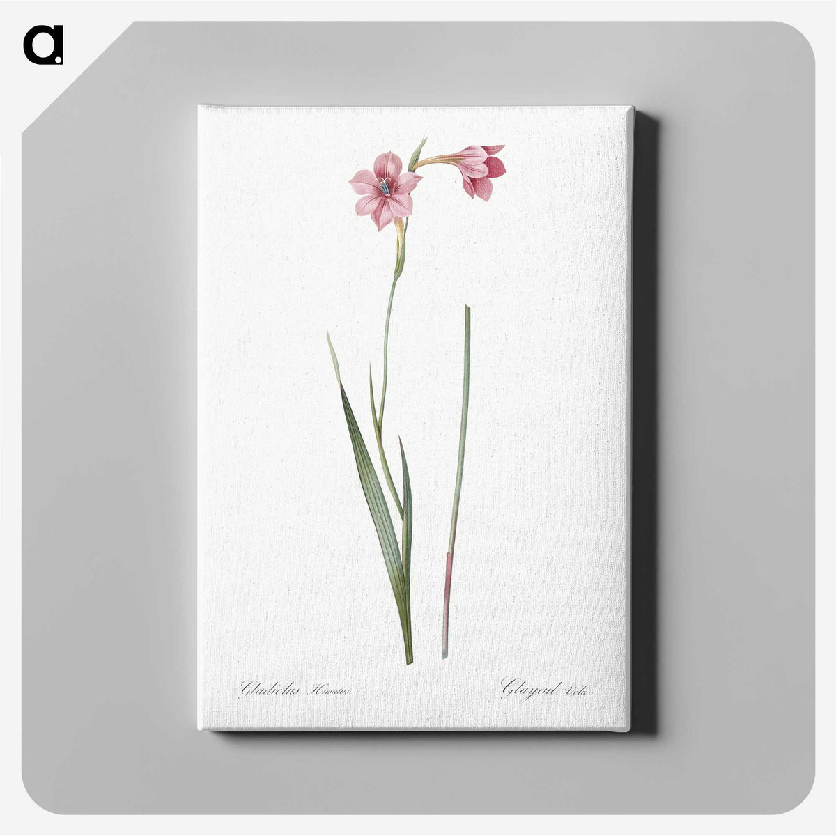 1-74_The-Lilies_canvas