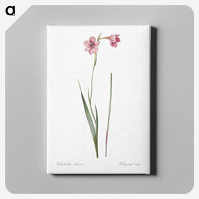 1-74_The-Lilies_canvas