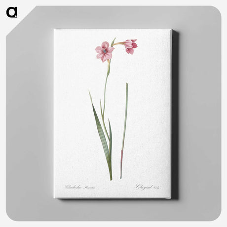 1-74_The-Lilies_canvas