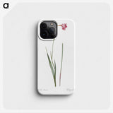 1-74_The-Lilies_phone