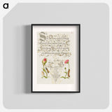 アートポスター-Wainscot, French Rose, Wasplike Insect, English Daisy, and Caterpillar
 - 書道のお手本 Poster.