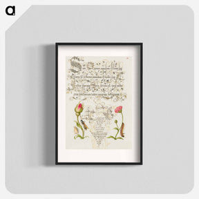 アートポスター-Wainscot, French Rose, Wasplike Insect, English Daisy, and Caterpillar
 - 書道のお手本 Poster.
