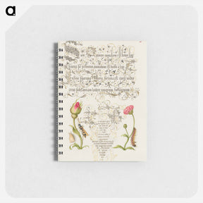 アートメモ帳-Wainscot, French Rose, Wasplike Insect, English Daisy, and Caterpillar
 - 書道のお手本 Memo.