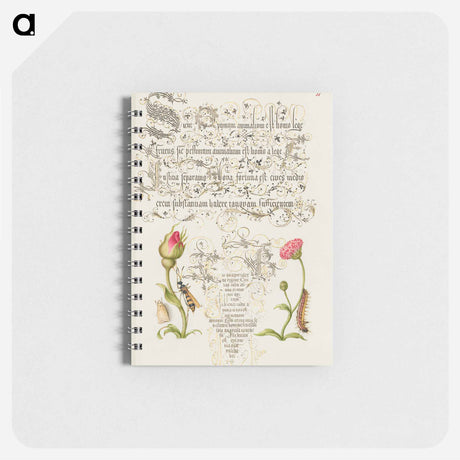 アートメモ帳-Wainscot, French Rose, Wasplike Insect, English Daisy, and Caterpillar
 - 書道のお手本 Memo.