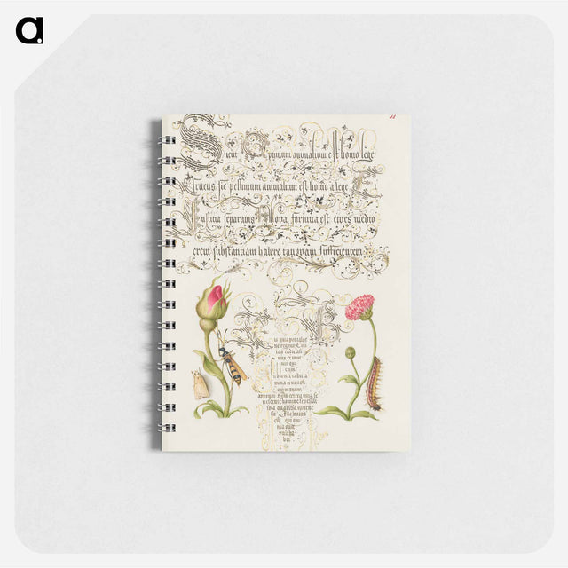 アートメモ帳-Wainscot, French Rose, Wasplike Insect, English Daisy, and Caterpillar
 - 書道のお手本 Memo.