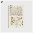 アートポストカード-Wainscot, French Rose, Wasplike Insect, English Daisy, and Caterpillar
 - 書道のお手本 Postcard.
