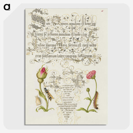 1-74_The-Model-Book-of-Calligraphy_picture-crop